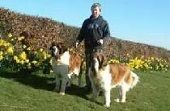 Lawersbridge Boarding & Day Kennels by Mauchline image