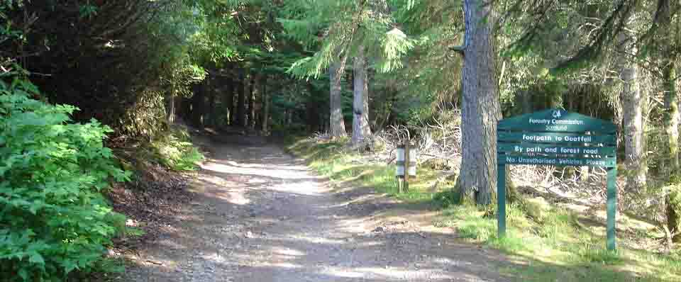 Goat Fell Mountain Trail image