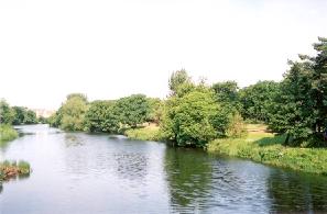 River Ayr image