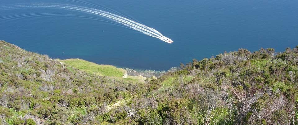 Lamlash Tour boat image