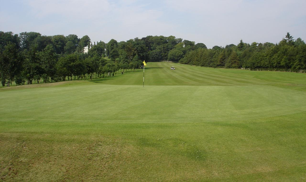 Annanhill 6th green