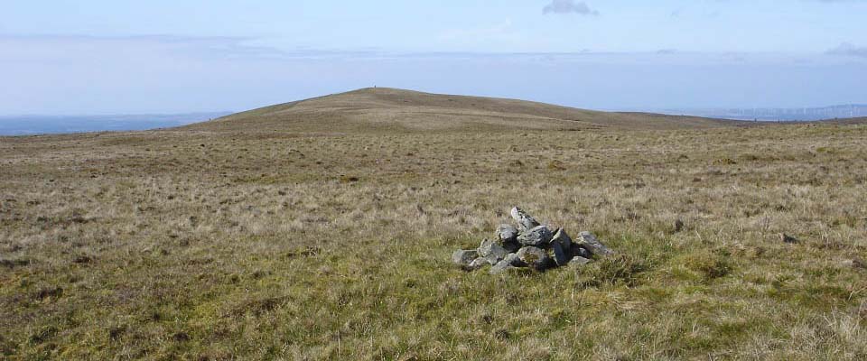 Rowantree Hill summit image