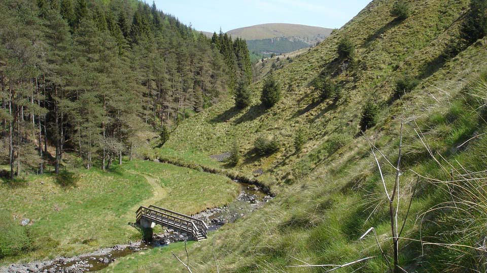 Changue Hill from Fairy Knowe image