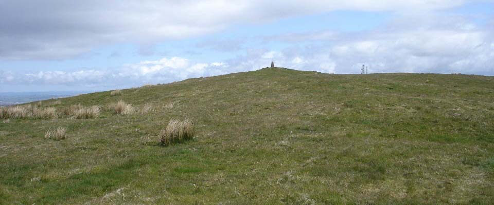 Brown Carrick Hill Cairn Stone image