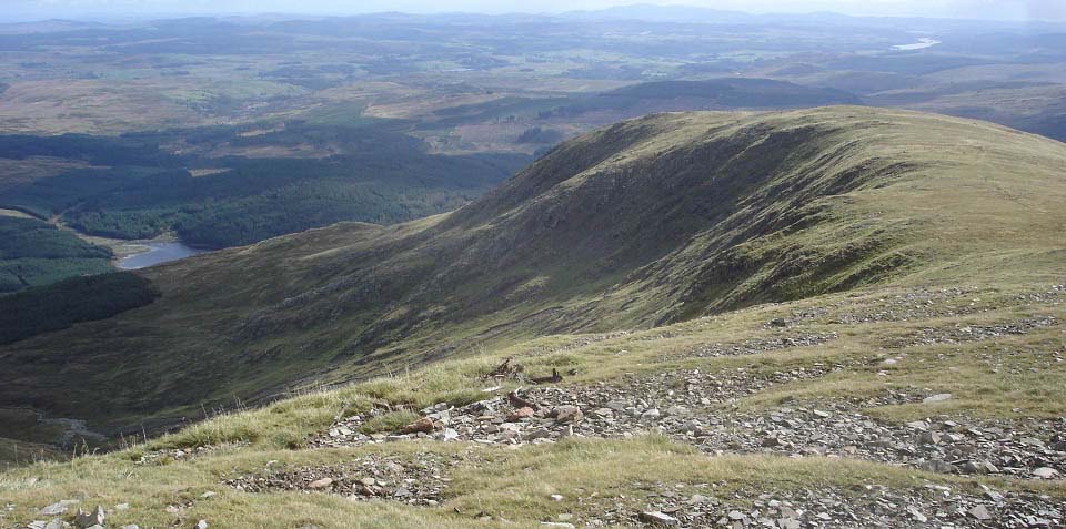 Corserine plane crash site Mosquito image