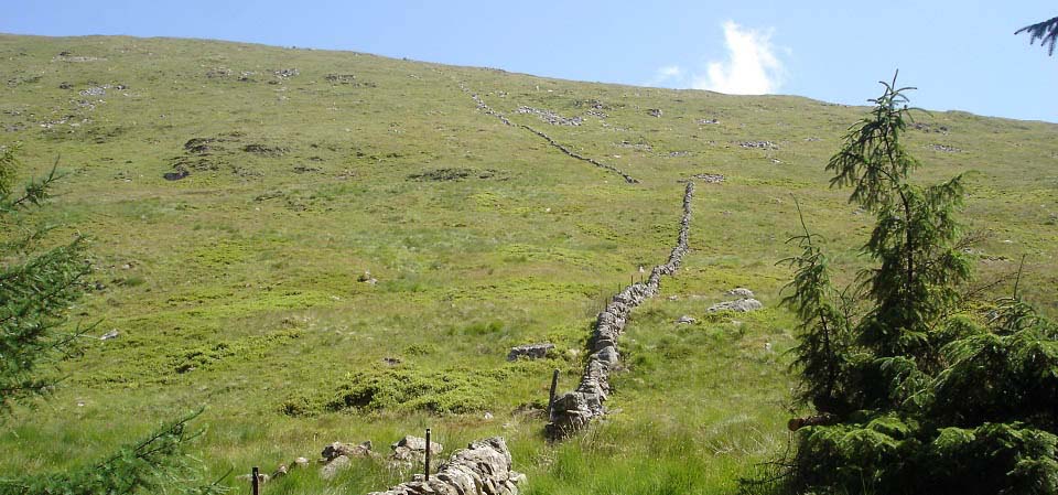 Forest Break leading to Goats Craig image