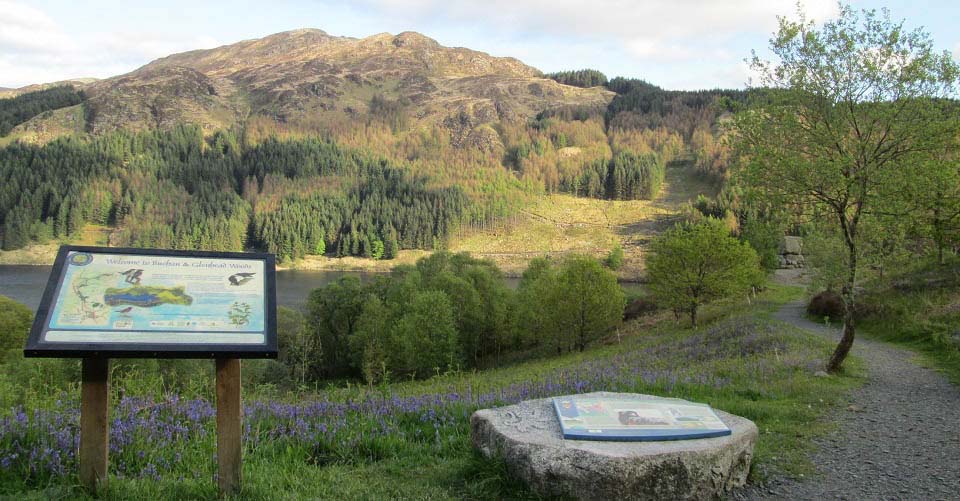 Bruces Stone at Loch Trool image