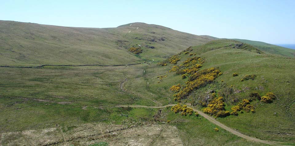 Fell Hill by Girvan image