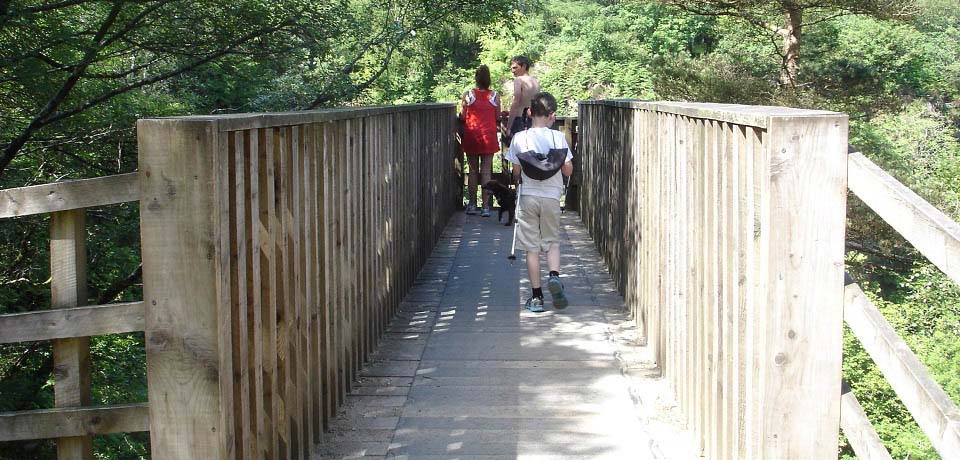 Glenashdale Falls viewing platform image