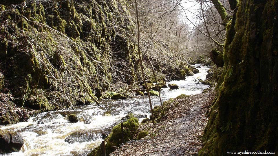 Ness Glen image