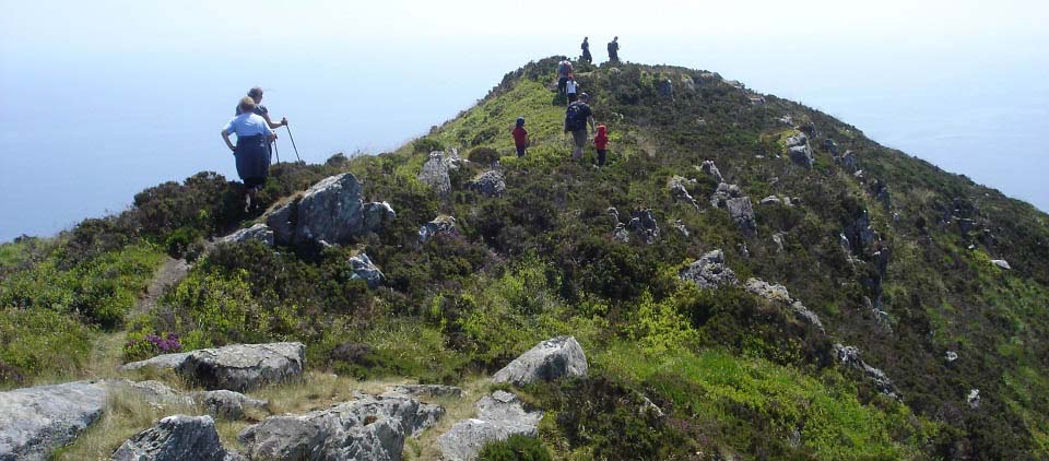 Mullach Mor south side trail image