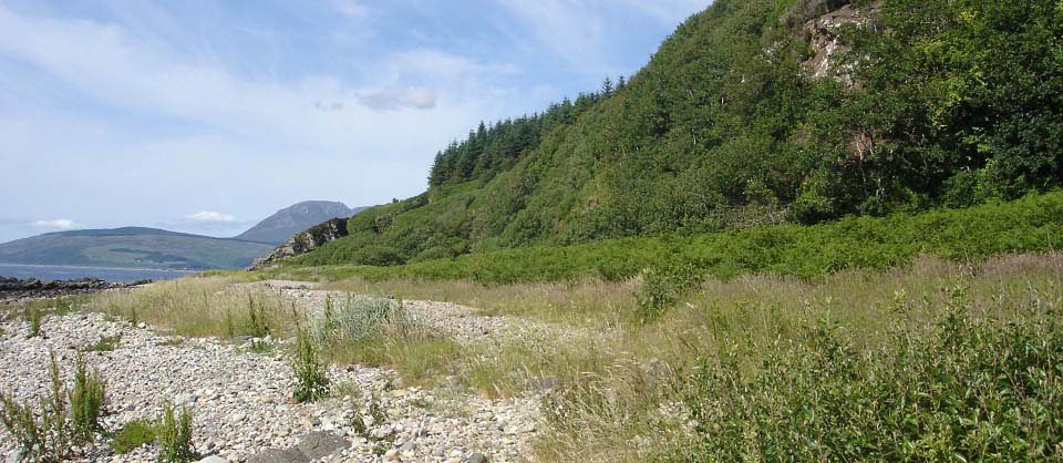 Kings Cave beach image