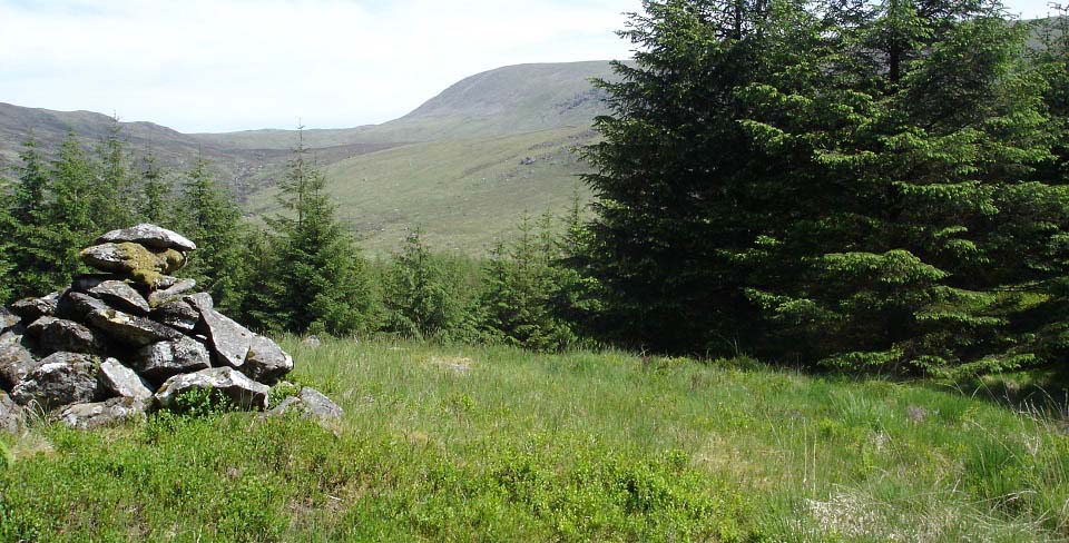 Kirriereoch Woodland Cairn image