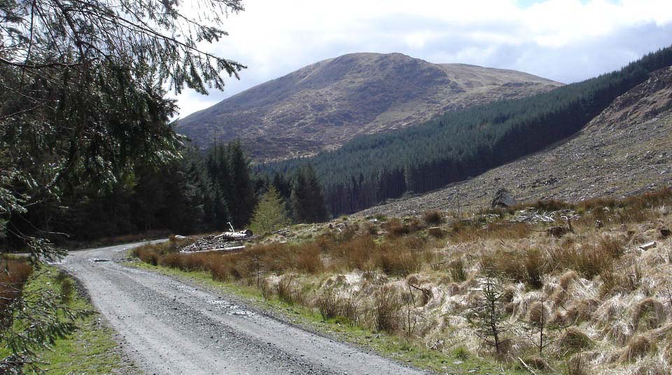 Shalloch-on-Minnoch from the Forest Road image